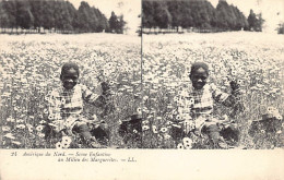 Black Americana - African American Child Among The Daisies - STEREO POSTCARD - Publ. LL Levy & Son 24 - Negro Americana