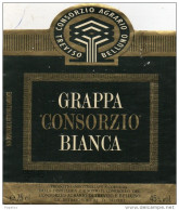 GRAPPA TREVISO - Andere & Zonder Classificatie