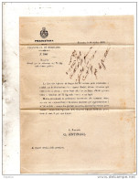1875   LETTERA CON ANNULLO TREVIGLIO BERGAMO + ROMANO DI LOMBARDIA - Officials