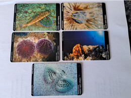 TURKIJE /CHIPCARDS   5 CARDS / SHELL/UNDERWATER  -/ 5 DIFFERENT CARDS        Fine Used Cards  **16900** - Turquie