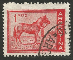 144 Argentina 1959 Domestic Horse Cheval De Ferme Pferd (ARG-223c) - Agriculture