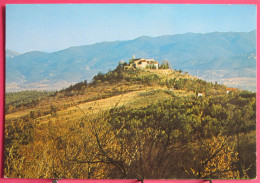 66 - Ermitage De Saint Ferréol Près De Céret - Ceret