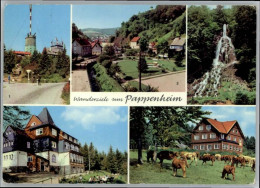 70698737 Pappenheim Pappenheim  X Pappenheim - Pappenheim