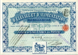 Compagnie Coloniale Francaise D'ÉLEVAGE Et D'ALIMENTATION De MADAGASCAR - Africa