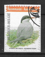 Belgium 2013 MiNr. 4352 Belgien Birds Buzin  Arctic Tern (Sterna Paradisaea) 1v Used 10.00€ - Albatrosse & Sturmvögel