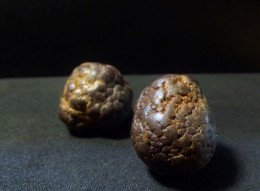 Marcassite Nodules  ( 2 X ( 2 X 2 X 2 Cm)) Wimereux - Pas De Calais - France - Minerals