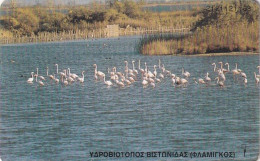 GREECE(chip) - Flamingos, 09/96, Used - Sonstige & Ohne Zuordnung