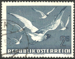 154 Austria 1953 2s Gulls Mouettes (AUT-349) - Mouettes