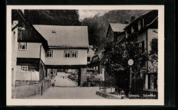 AK Schmilka /Sächs. Schweiz, Strassenpartie Im Ort  - Schmilka