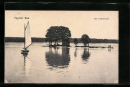 AK Berlin, Liebesinsel Im Tegeler See, Segelboot  - Tegel