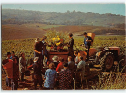 ARBOIS : Le Traditionnel "Bouquet Des Vendanges Au Domaine Du SORBIEF - Très Bon état - Arbois