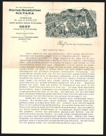 Rechnung Genf, Dr. Med. Rumler`sches Nerven-Sanatorium Silvana, Ansicht Mit Parkanlage  - Svizzera