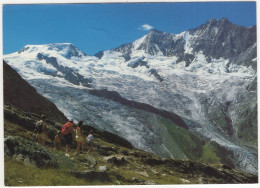 Wandergebiet Saas-Fee - Alphubel, Täschhorn, Dom - (Suisse/Svizzera/Schweiz) - Saas-Fee