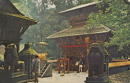 Nepal - Temple Of Bajra Barahi Chapagoun - Nepal