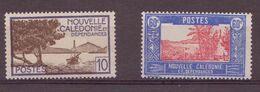 Nouvelle Calédonie - YT N° 244 Et 245 ** - Neuf Sans Charnière - Unused Stamps