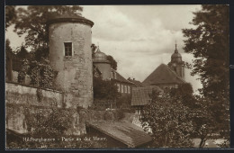 AK Hildburghausen, Partie An Der Mauer  - Hildburghausen