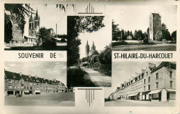 50* ST HILAIRE DU HARCOUET  « souvenir » Multivues  (CPSM Format 9x14cm)   RL24,1498 - Saint Hilaire Du Harcouet