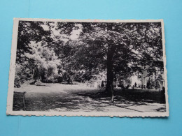 BEATRIXLAAN > Driebergen ( Edit.: Tesselhof ) Anno 1957 ( Zie / Voir SCANS ) ! - Driebergen – Rijsenburg