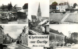 49* CHATEAUNEUF S/SARTHE  Multi Vues  (CPSM 9x14cm)       RL41,0589 - Chateauneuf Sur Sarthe