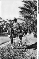 AGRP1-0071-ALGERIE - Colomb-bechar - Cavalier Au Bord De L'oued - El-Oued