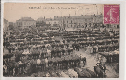 49 - CHEMILLE - Le Champ De Foire - Chemille