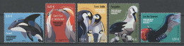 TAAF 2021 N° 987/991 ** Neufs MNH Superbes Faune Antarctique Oiseaux Birds En Graph Orque Fou Manchot Frégate Albatros - Neufs