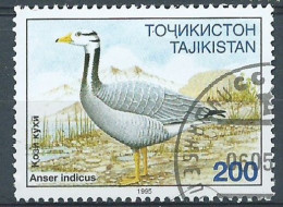 TADJIKISTAN- Obl - 1995 - YT N° 75- Oiseaux - Tadjikistan