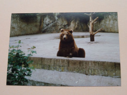 HAN Sur LESSE ( Namen/Rochefort) SAFARI ( Belgique / België ) Anno 1988 ( Zie SCANS > 12 Photos ) ! - Luoghi