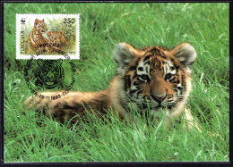 RUSLAND Yt. 6031 FDC WWF 1993 - FDC