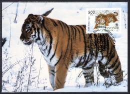 RUSLAND Yt. 6032 FDC WWF 1993 - FDC