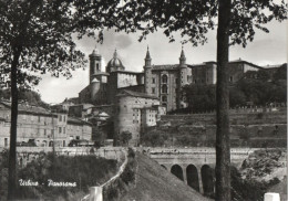 URBINO - PANORAMA - F.G. - Urbino