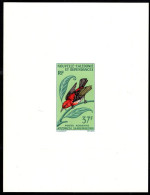 NEW CALEDONIA(1966) Scarlet Honey Eater. Deluxe Sheet. Scott No C49, Yvert No PA89. - Non Dentelés, épreuves & Variétés