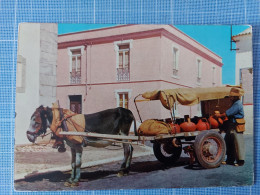 Portugal,  Alentejo,  Costume Aguadeiro Do Baixo Alentejo - Beja