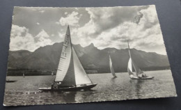 Segelsport Auf Dem Thunersee - Stockhornkette - Photo Arthur Bauer, Oberhofen - Voile