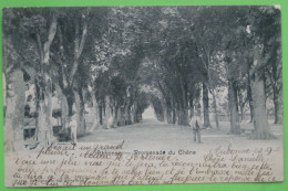 Aubonne (VD) - Promenade Du Chêne - Aubonne