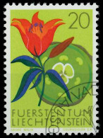 LIECHTENSTEIN 1970 Nr 521 Gestempelt X5E7146 - Used Stamps