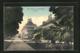 AK Dresden-Pillnitz, Königliches Schloss Mit Lustgarten - Pillnitz