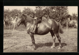 Foto-AK Reiter Auf Seinem Pferd  - Paardensport