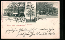 AK Kaltenkirchen, Friedenseiche, Hotel Stadt Altona  - Kaltenkirchen