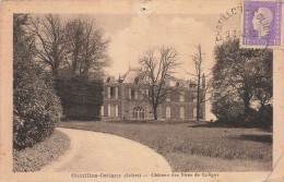 45-CHATILLON COLIGNY-N°T5245-A/0257 - Chatillon Coligny