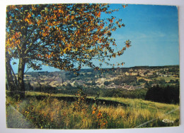 BELGIQUE - NAMUR - VIROINVAL - OIGNIES - Panorama - Viroinval