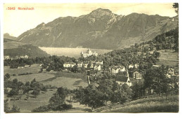 CPA  9 X 14 Suisse Canton De Schwyz MORSCHACH   église  Hôtel - Morschach