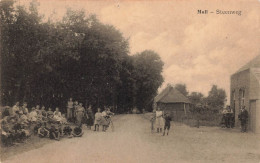 BELGIQUE - Moll - Steenweg -  Des Habitants Aux Abords De La Route - Forêt - Bicyclette - Carte Postale Ancienne - Mol
