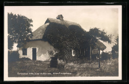 AK Vitte / Hiddensee, Partie Am Alten Fischerhaus  - Hiddensee