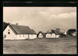 AK Neuendorf / Hiddensee, Fischerhäuser  - Hiddensee