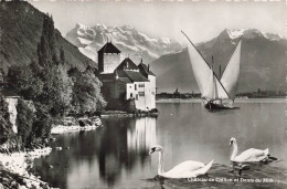 SUISSE - Veytaux - Château De Chillon Et Dents Du Midi - Carte Postale - Veytaux