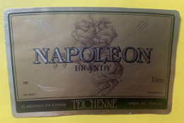 20194 - Napoleon Brandy Teichenné Arbos De Penèdes Espagne - Alcools & Spiritueux