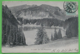 Ormont-Dessous (VD) - Lac Des Chavonnes - Ormont-Dessous