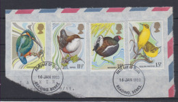 Great Britain Fauna-birds On A Piece Of An Envelope 1980 USED - Usados