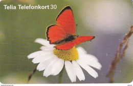 SWEDEN(chip) - Butterfly, 05/99, Used - Papillons